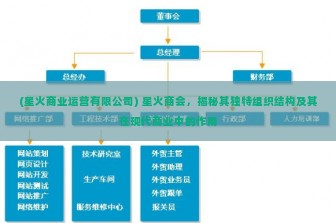 (星火商业运营有限公司) 星火商会，揭秘其独特组织结构及其在现代商业中的作用