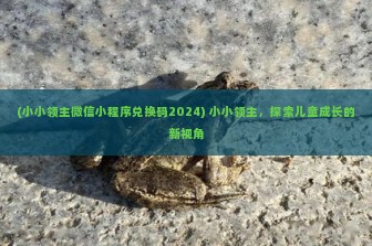 (小小领主微信小程序兑换码2024) 小小领主，探索儿童成长的新视角